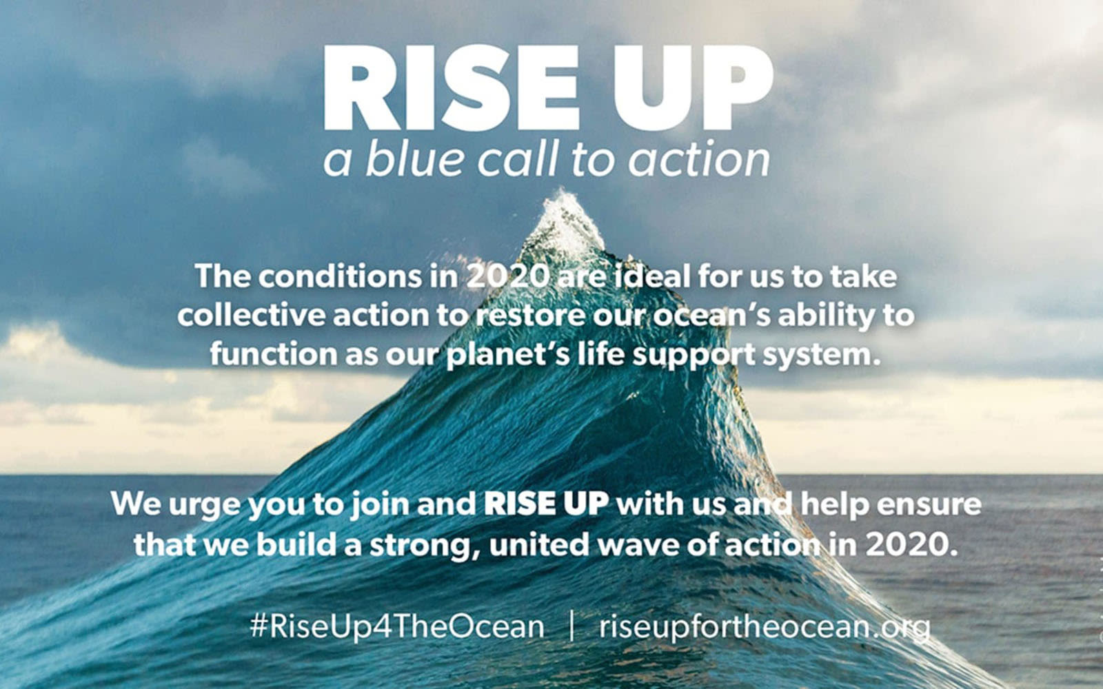 picture of a wave from rise up with a blue call to action information the image 