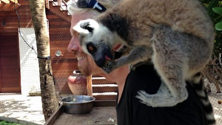 Richard with a lemur