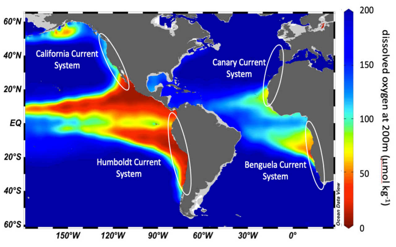 Map showing ocean deoxygenation