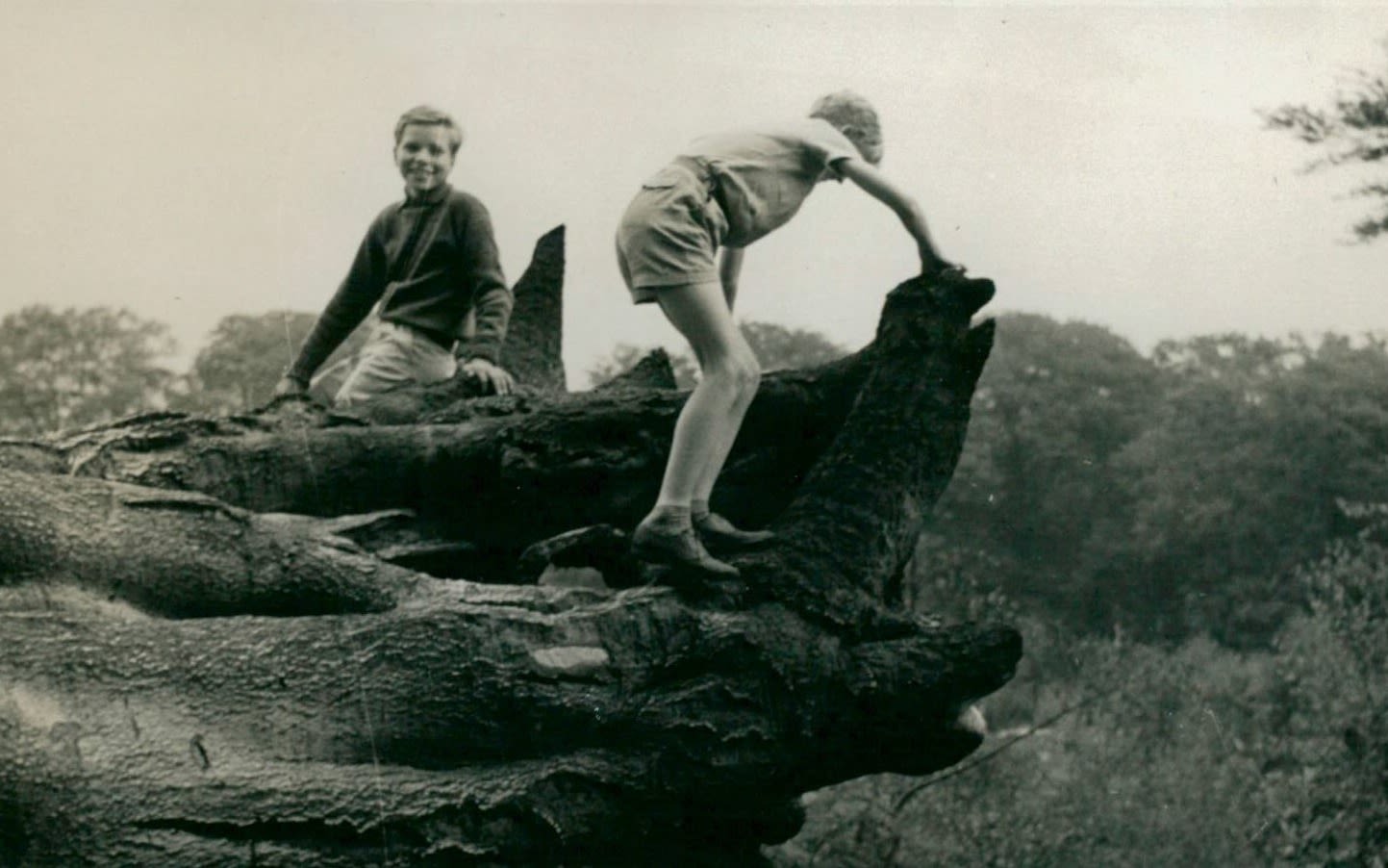 Black and white photo of a young Richard Branson playing on a tree branch