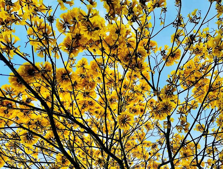 Imagen Amar también es dejar ir