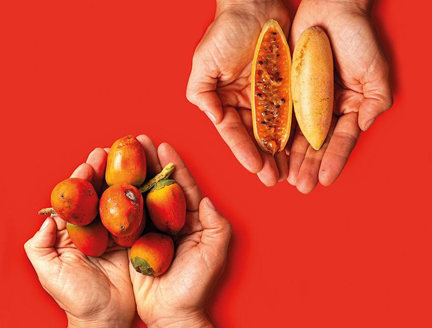 Imagen cabecera Cocina intuitiva, el poder de recuperar los sabores ancestrales