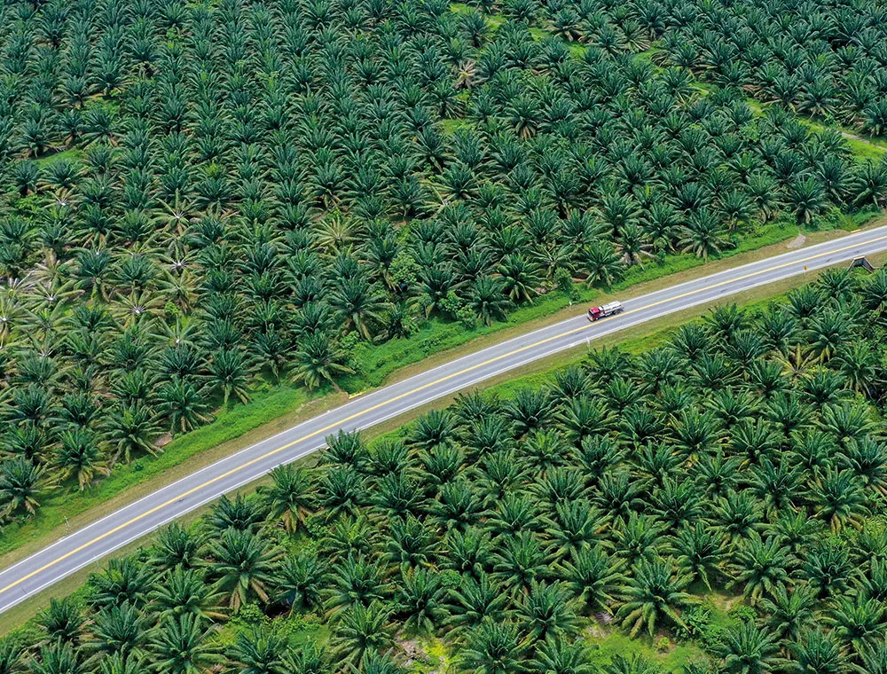 Una transformación agrícola