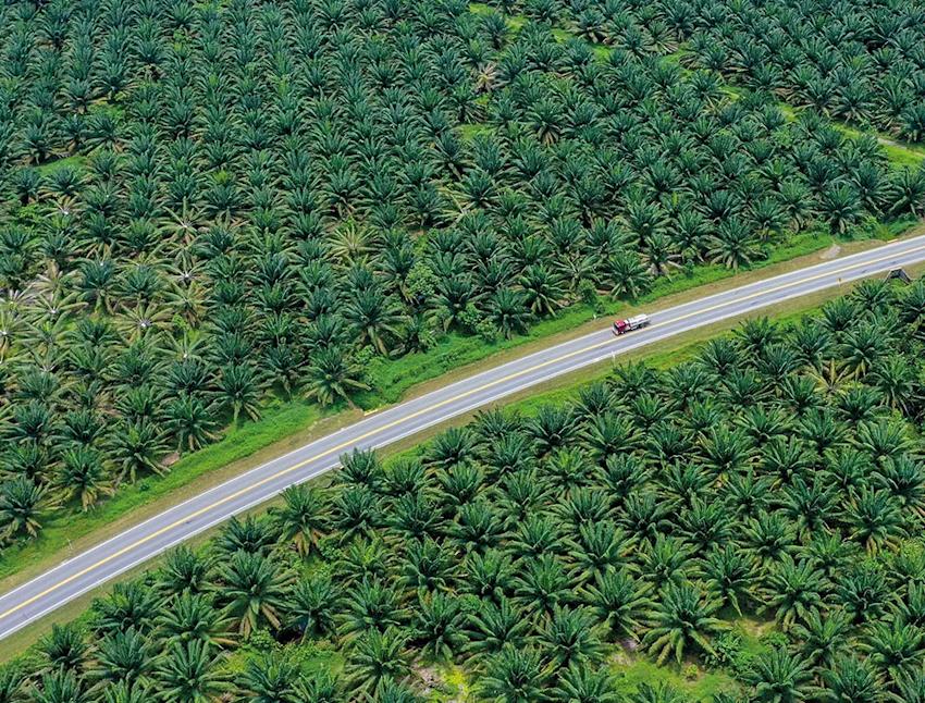 Imagen Una transformación agrícola
