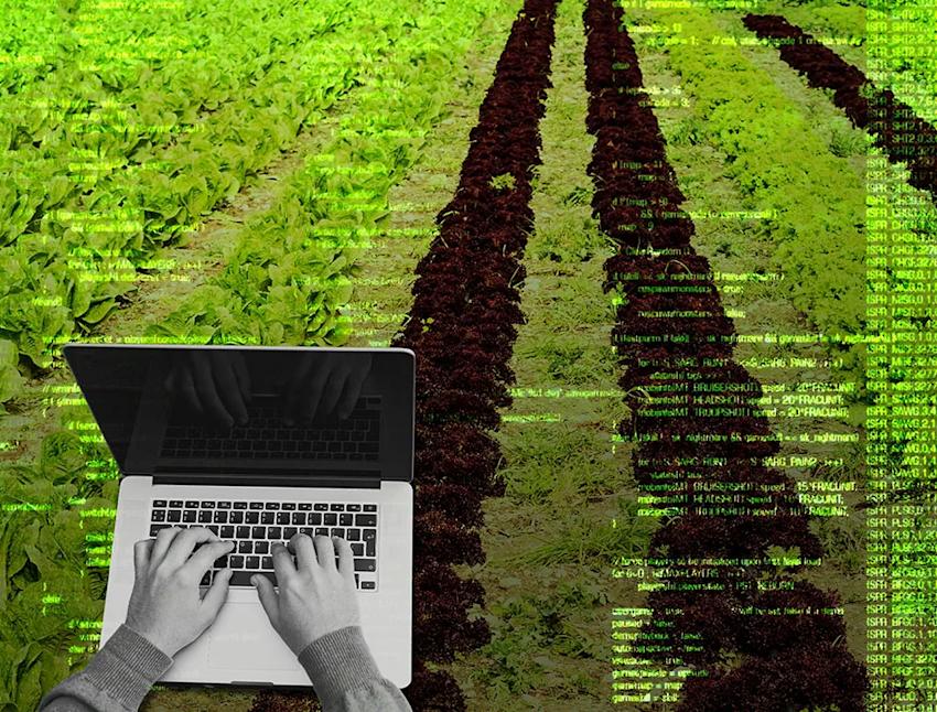 Imagen cabecera La búsqueda por un futuro in situ