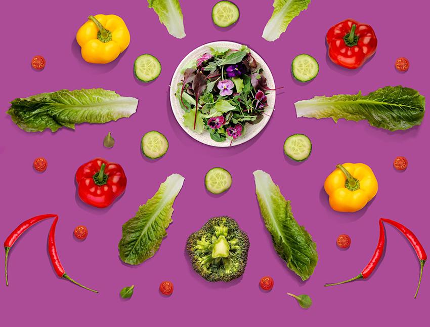 Imagen cabecera Ciudad y campo en sintonía con la vida