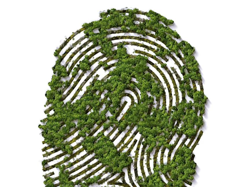 Imagen Acciones cotidianas para mitigar el cambio climático