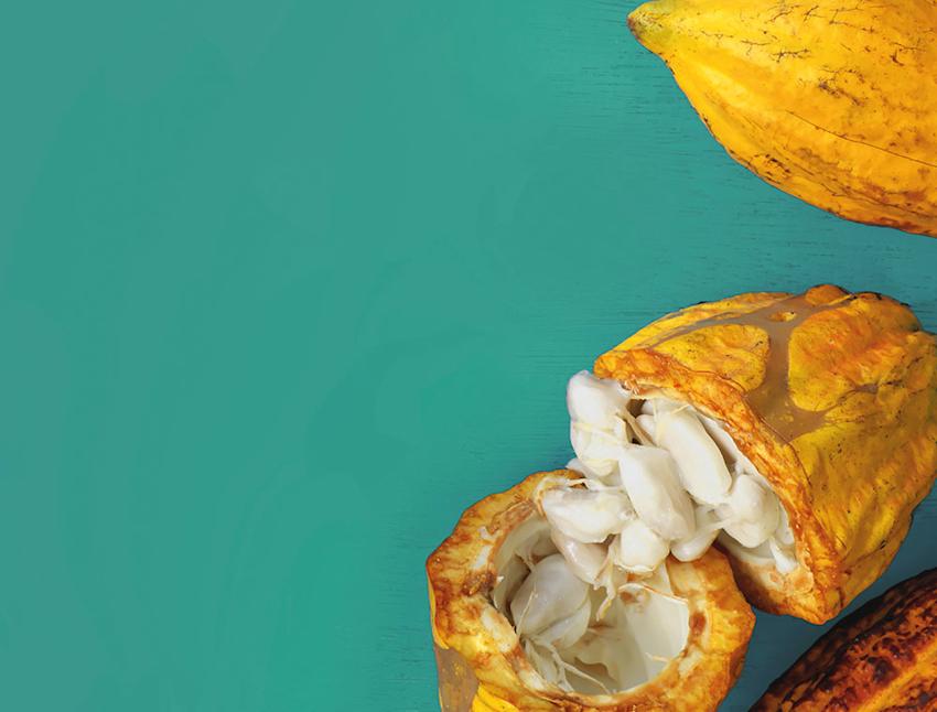 Imagen cabecera La asociatividad como símbolo supremo de la confianza