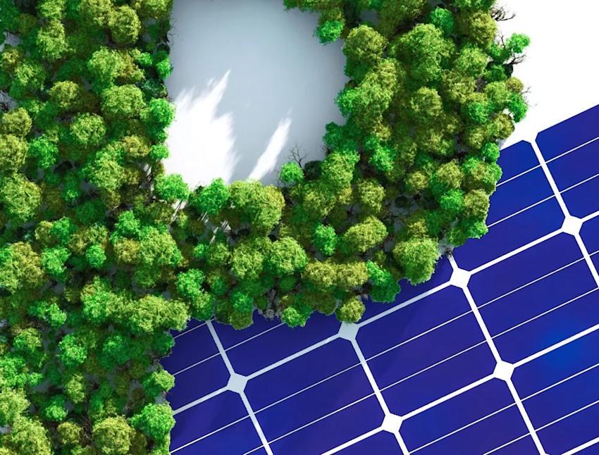 Imagen Convertir el riesgo climático en oportunidad planetaria