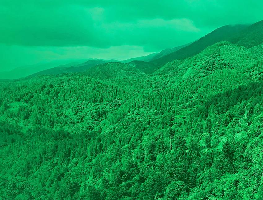 Imagen cabecera Biosuroeste: un emprendimiento social con propósito compartido