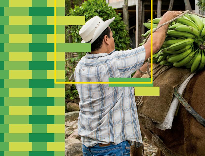 Imagen > Desarrollo rural para un agro 5.0