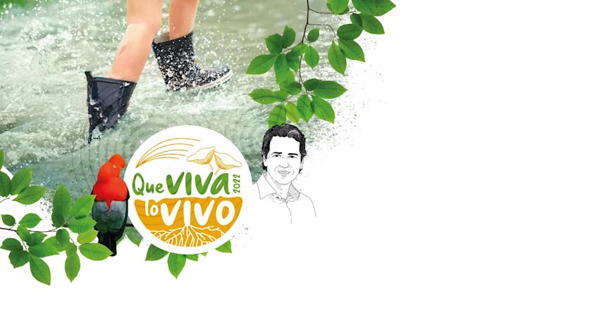 Imagen cabecera Que viva la vida