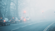 Cars in a queue at a set of traffic lights