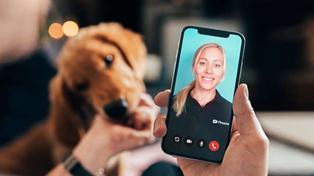 FirstVet video consultation