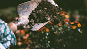 Person moving soil with a spade