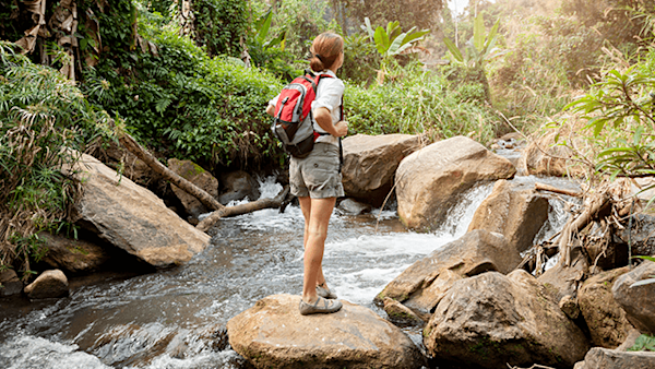 Woman with backpack hiking at rainforest