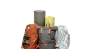 AnnualTripButtonTP