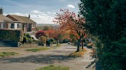 Suburban street in the UK