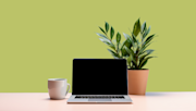 Laptop, plant and mug on desk