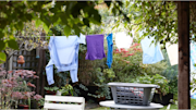 Washing hung up in a garden
