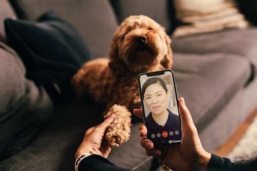 A pet insurance customer having a video consultation with a vet about their dog