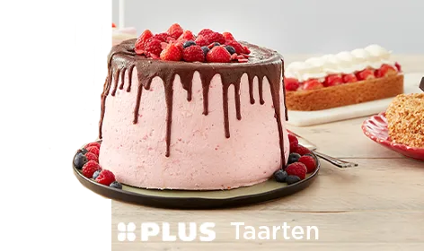 taarten.plus.nl >
