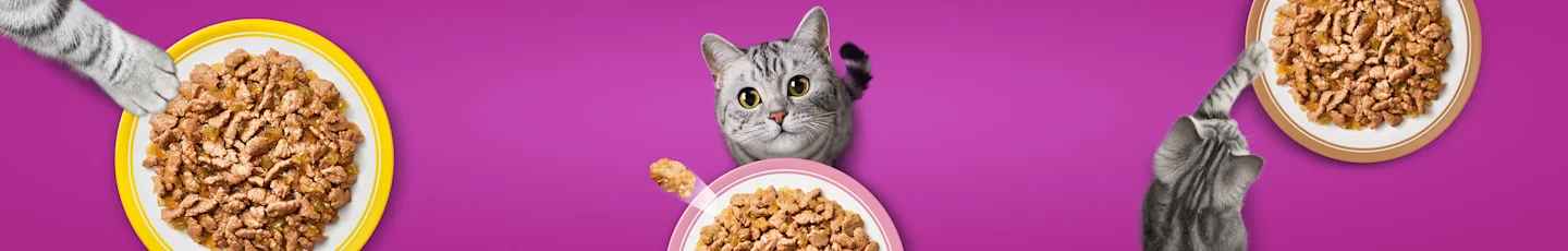 Whiskas