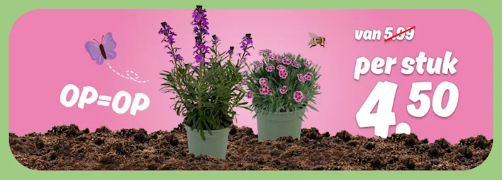 PLUS Vaste planten