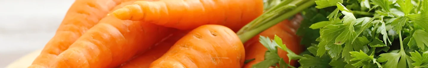 Wortel recepten topbanner