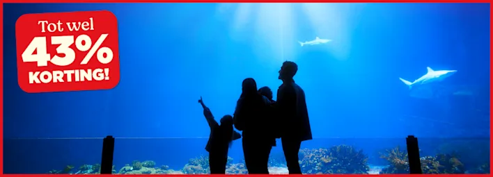 Koninklijke Burgers' Zoo.