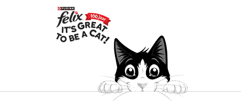 Felix kattenvoer