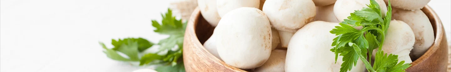 Champignon recepten topbanner