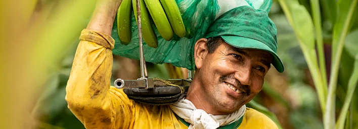 Volg de reis van de banaan