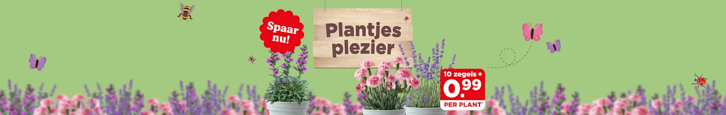 Plantjesplezier. Nieuwe ronde, nieuwe planten. Spaar nu!