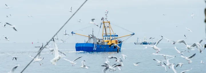 Bewuste visweek: een vissersboot vaart op zee, omringd door meeuwen in de lucht en andere boten in de verte.