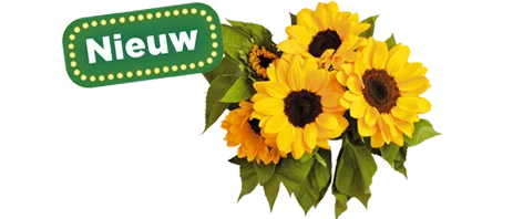 Bloemen en planten nu te bestellen bij PLUS