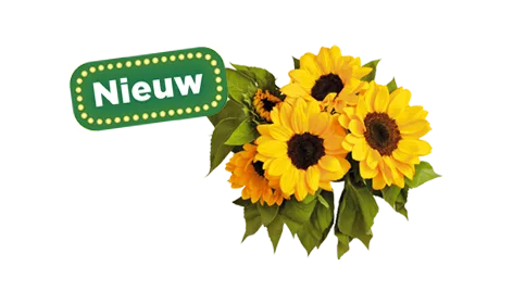 Bloemen en planten nu te bestellen bij PLUS