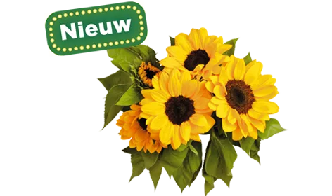 Bloemen en planten nu te bestellen bij PLUS