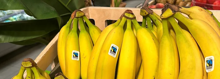 Volg de reis van de banaan