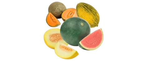 Fruitsoorten in de aanbieding