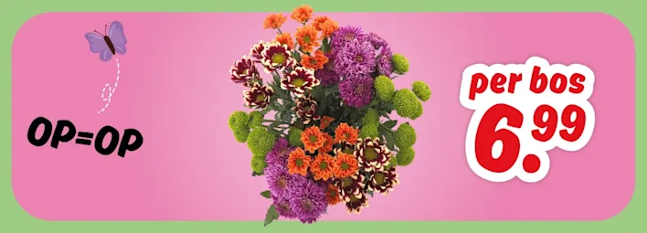 Verschillende chrysantenboeketten, per bos 6.99