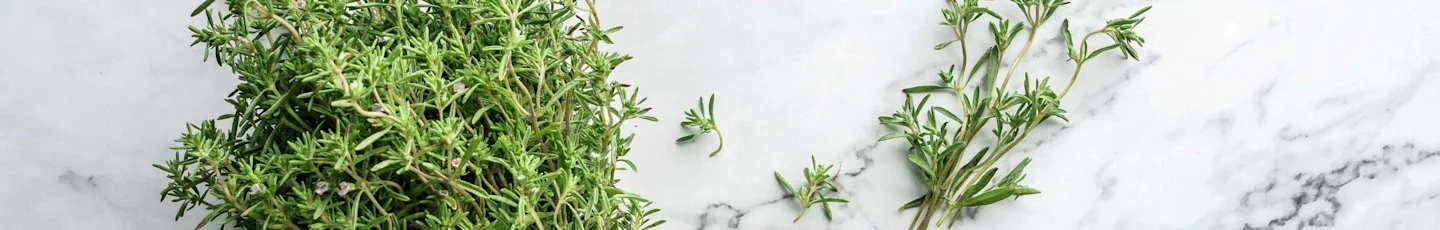 Tijm recepten topbanner