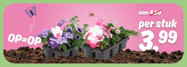 PLUS Perkgoed mix-tuintje