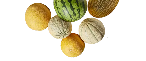 Verschillende fruitsoorten in de aanbieding van 22 t/m 28 juli
