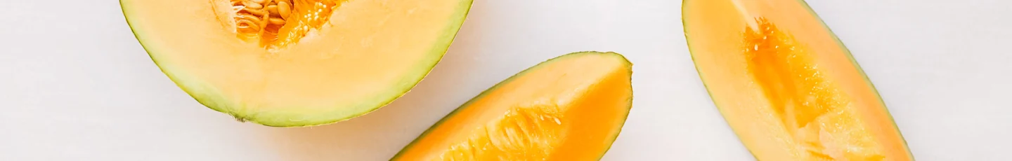 Meloen recepten topbanner