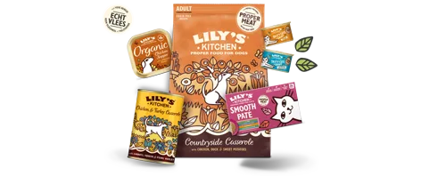 Lily's kitchen
