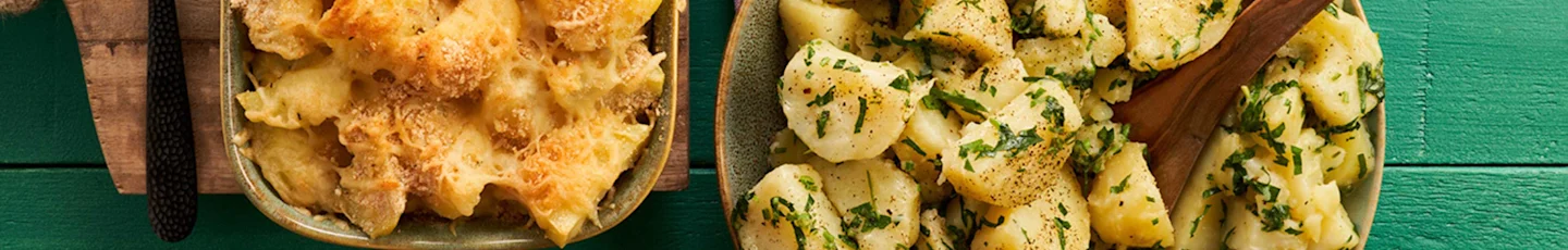 Meal preppen topbanner