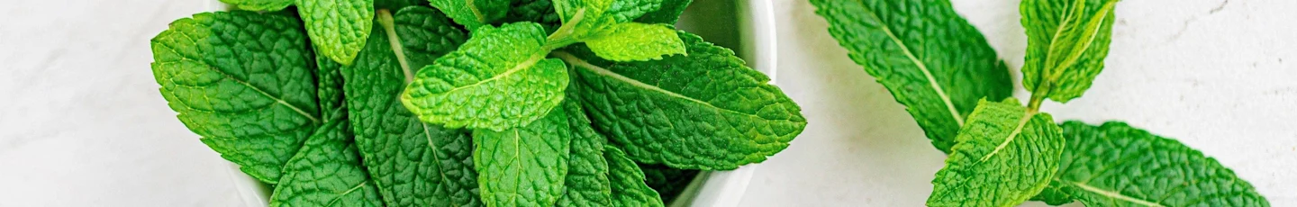 Munt recepten topbanner