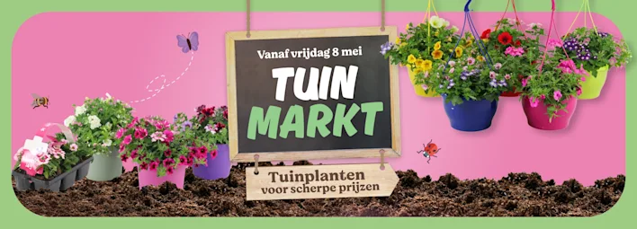 Tuinmarkt bloemen en planten