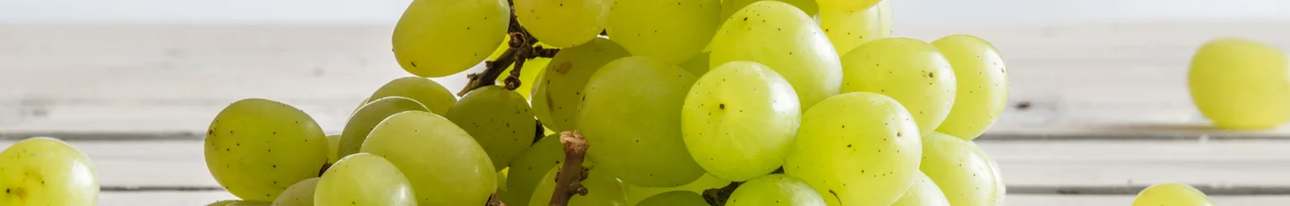 Druiven recepten topbanner